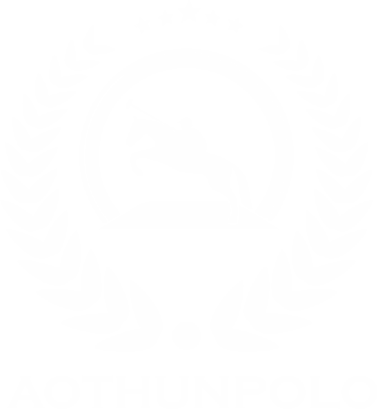 Áo thun polo